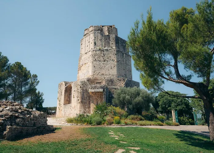 Apartment Le Petit Colbert Yourhosthelper *